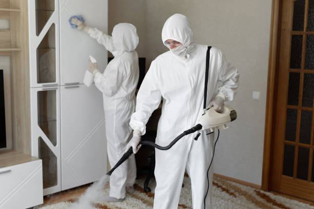 Best Emergency Mold Removal  in Franklinville, NC