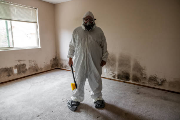 Best Local Mold Removal Service  in Franklinville, NC
